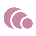 bizmudra